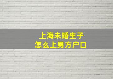 上海未婚生子怎么上男方户口