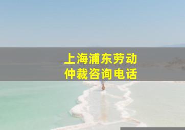 上海浦东劳动仲裁咨询电话