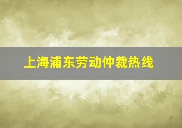 上海浦东劳动仲裁热线