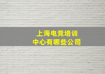 上海电竞培训中心有哪些公司