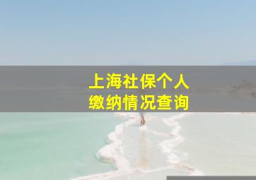 上海社保个人缴纳情况查询