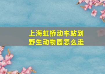 上海虹桥动车站到野生动物园怎么走