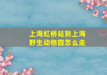 上海虹桥站到上海野生动物园怎么走