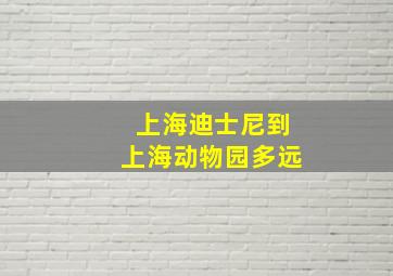 上海迪士尼到上海动物园多远