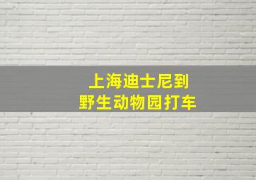 上海迪士尼到野生动物园打车