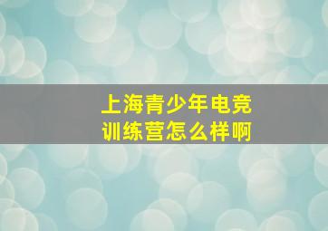 上海青少年电竞训练营怎么样啊