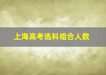 上海高考选科组合人数