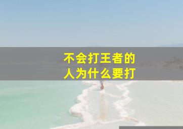 不会打王者的人为什么要打