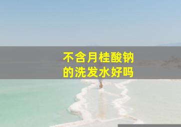 不含月桂酸钠的洗发水好吗