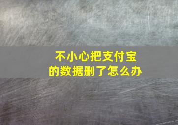 不小心把支付宝的数据删了怎么办