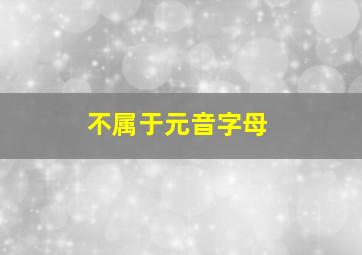 不属于元音字母