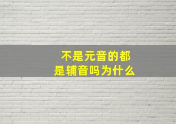 不是元音的都是辅音吗为什么