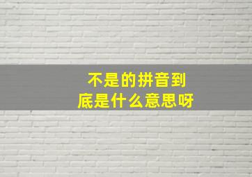 不是的拼音到底是什么意思呀