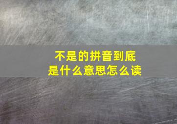 不是的拼音到底是什么意思怎么读