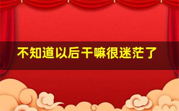 不知道以后干嘛很迷茫了