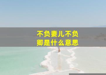 不负妻儿不负卿是什么意思