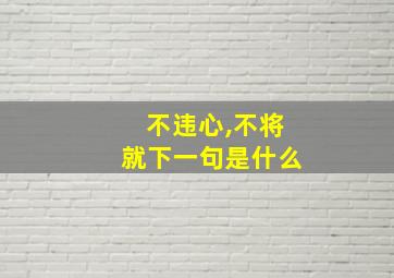 不违心,不将就下一句是什么