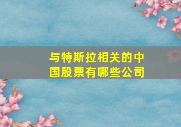 与特斯拉相关的中国股票有哪些公司