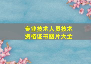 专业技术人员技术资格证书图片大全