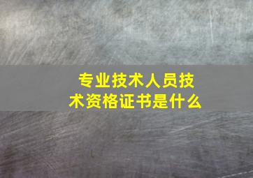 专业技术人员技术资格证书是什么