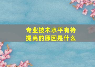 专业技术水平有待提高的原因是什么