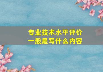 专业技术水平评价一般是写什么内容