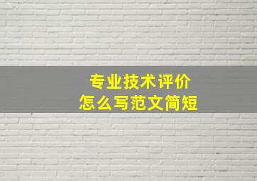 专业技术评价怎么写范文简短