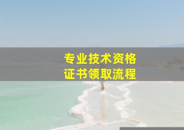 专业技术资格证书领取流程