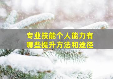 专业技能个人能力有哪些提升方法和途径