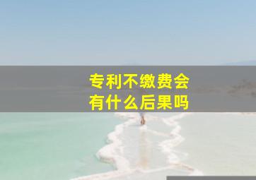 专利不缴费会有什么后果吗