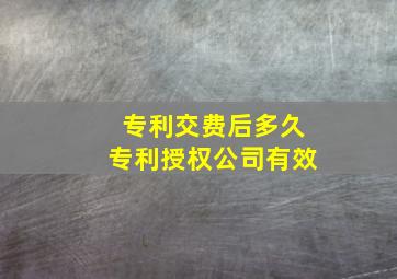 专利交费后多久专利授权公司有效