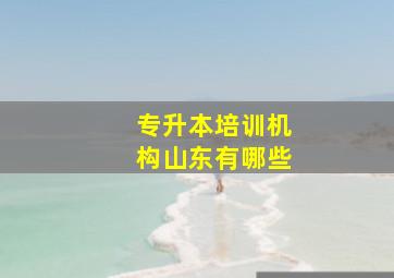 专升本培训机构山东有哪些