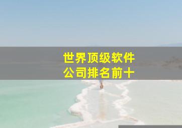 世界顶级软件公司排名前十