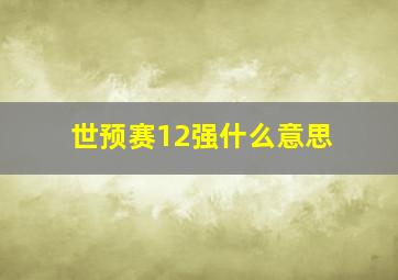 世预赛12强什么意思