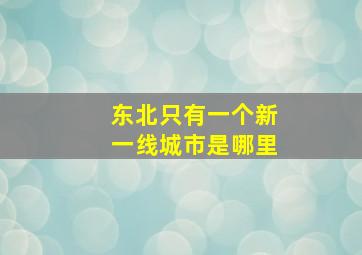 东北只有一个新一线城市是哪里