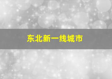 东北新一线城市