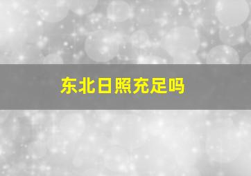 东北日照充足吗