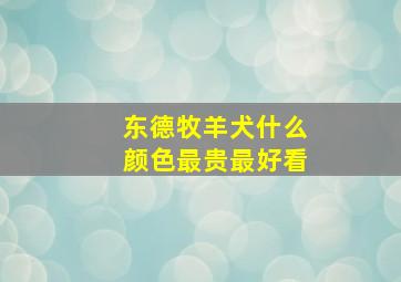 东德牧羊犬什么颜色最贵最好看