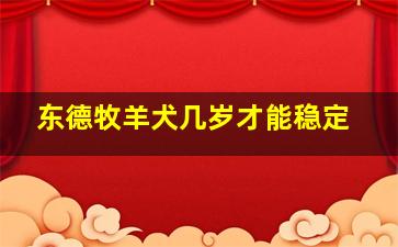 东德牧羊犬几岁才能稳定