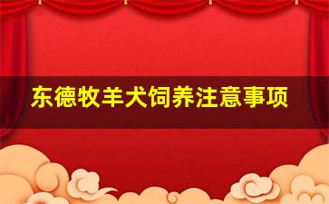 东德牧羊犬饲养注意事项