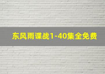 东风雨谍战1-40集全免费