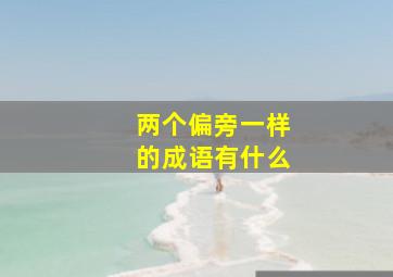 两个偏旁一样的成语有什么