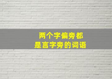 两个字偏旁都是言字旁的词语