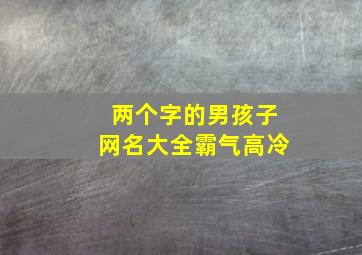 两个字的男孩子网名大全霸气高冷