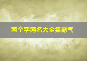 两个字网名大全集霸气