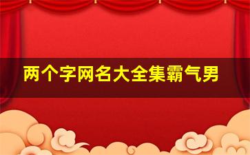 两个字网名大全集霸气男