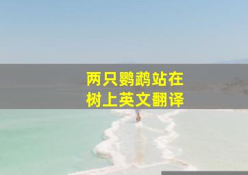 两只鹦鹉站在树上英文翻译