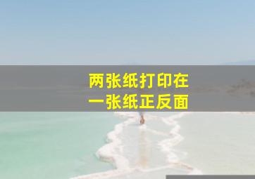 两张纸打印在一张纸正反面