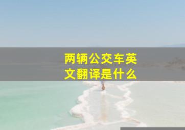 两辆公交车英文翻译是什么