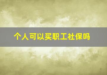 个人可以买职工社保吗